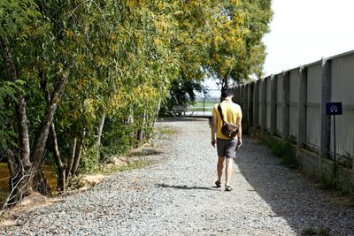 Rear view of man walking on road