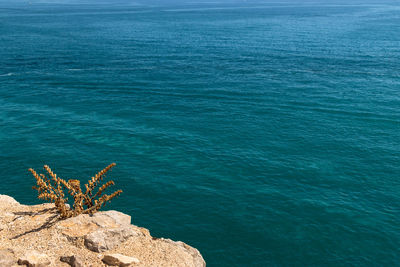 High angle view of rocks by sea