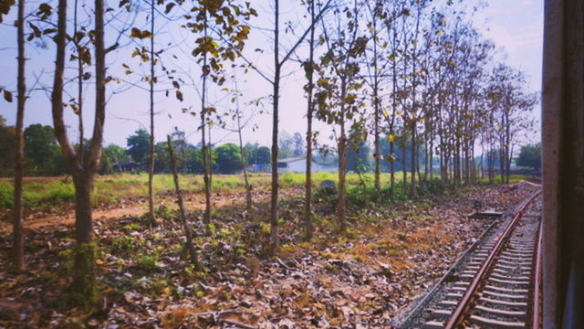 railroad track, rail transportation, tree, transportation, scenics, tranquil scene, day, no people, landscape, nature, outdoors, sky, clear sky, beauty in nature