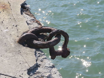 Close-up of metal chain