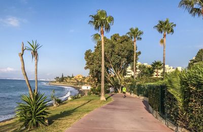 Scenic view of palm trees by sea against sky