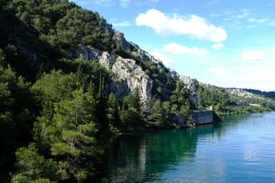 Scenic view of river by trees against sky