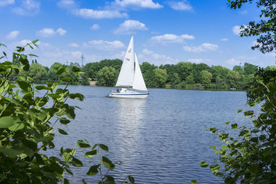 Sailboat sailing on sea against sky