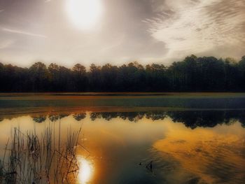 Reflection of trees in lake