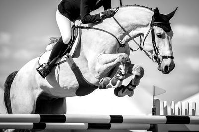 Equestrian, horse jumping competition, show jumping themed photograph.