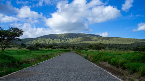 Road amidst green landscape against sky