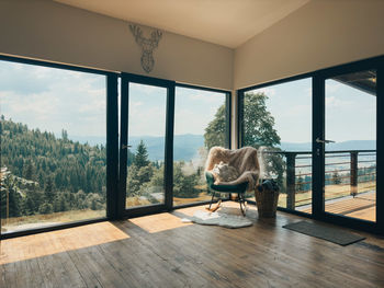 Rear view of woman looking through window