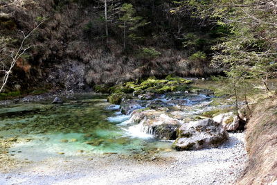 River flowing through rocks in forest