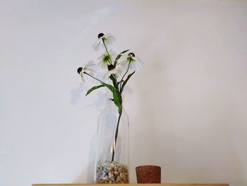 Close-up of white flower vase against wall