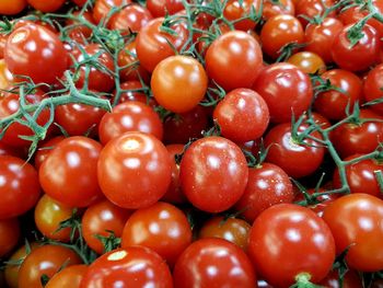 Full frame shot of tomatoes for sale