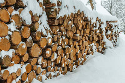 A pile of logs of sawn trees gathered together lying covered with snow