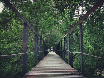 Footbridge amidst trees in forest