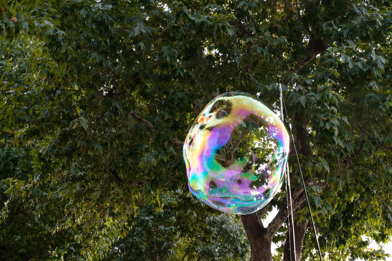 CLOSE-UP OF BUBBLES IN BUBBLE
