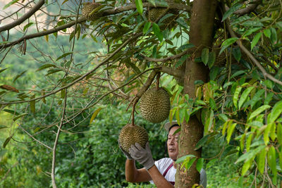 High angle view of man and woman on tree