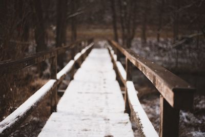 Walkway amidst trees during winter