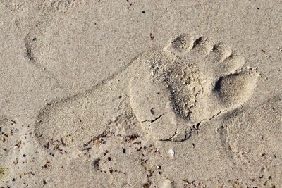 High angle view of footprints on sand