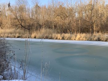 Scenic view of frozen lake in winter