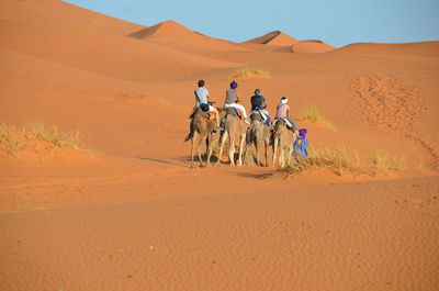 Rear view of people riding camel on sand 