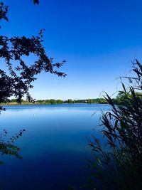 Scenic view of lake against clear blue sky