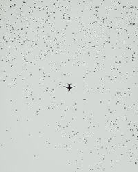 Low angle view of birds flying in sky