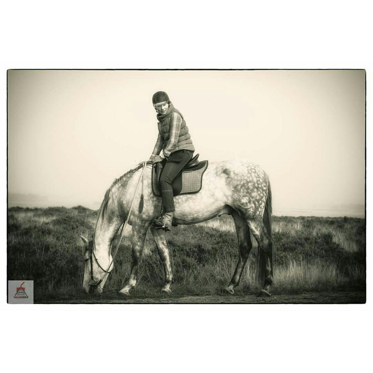 transfer print, auto post production filter, copy space, clear sky, full length, animal themes, one animal, side view, field, wildlife, animals in the wild, standing, statue, nature, sitting, vignette, human representation, outdoors, day, sculpture