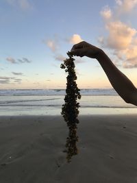 Hand holding sand on beach against sky
