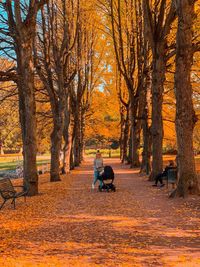 Woman with baby stroller standing in park during autumn