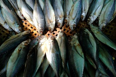 Close-up of fish for sale at market