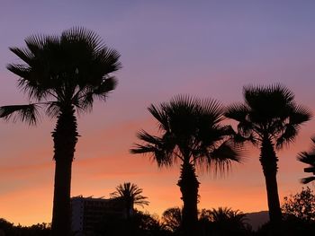 Silhouette palm trees against romantic sky at sunset