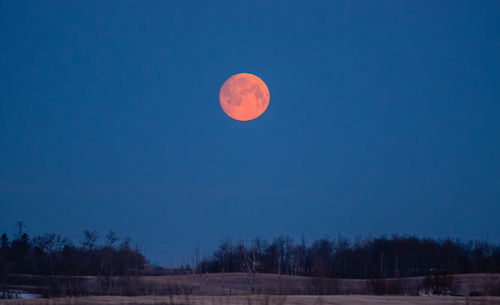 Low angle view of moon against clear sky