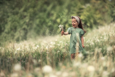 Portrait of a cheerful girl who runs across the field and collects dandelions