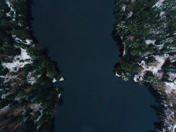 Scenic view of tree mountains against sky