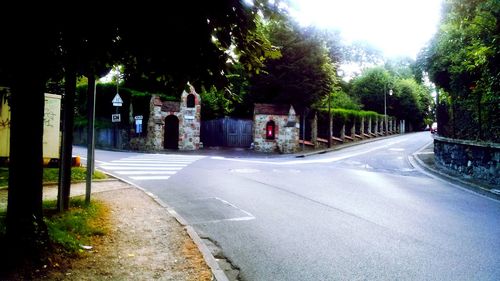 Empty road along trees