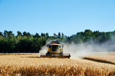 Harvester combine working in the field