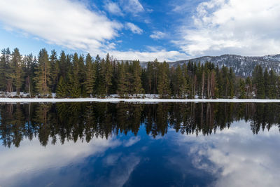 Beautiful landscape , with reflection of the forest in the river at kongsberg, norway