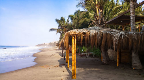 Palm trees on beach by sea against sky