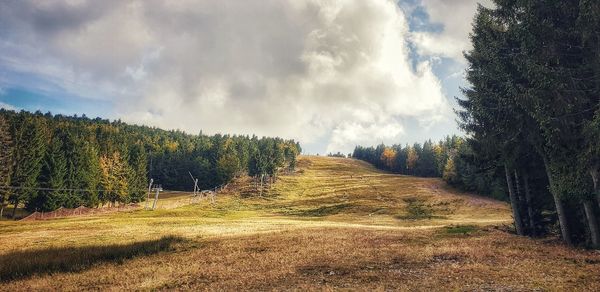 Panoramic shot of trees on field against sky