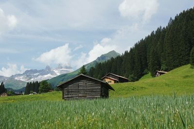 House on field against sky