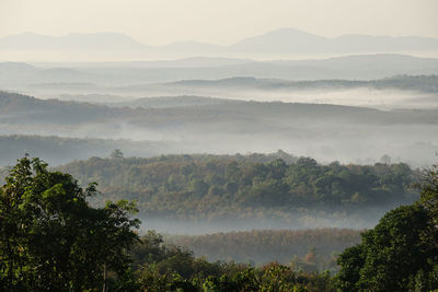 Scenic view of trees and mountains against sky