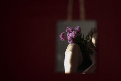 Close-up of flower against blue wall