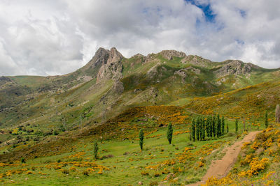 Scenic view of landscape against sky