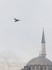 Pigeon flying over blue mosque during foggy weather