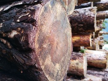 Close-up of old wood