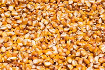 Full frame shot of corn