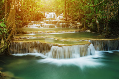 Scenic view of waterfall in forest