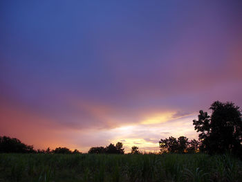 Silhouette trees on field against romantic sky at sunset