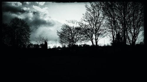 Silhouette of trees against sky