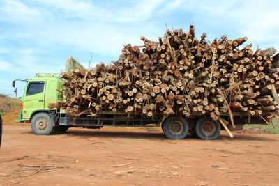 Logs on truck against sky