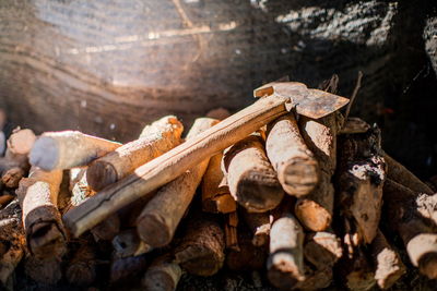 Close-up of wooden logs in forest