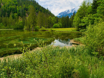 Scenic view of field